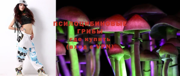стафф Аркадак