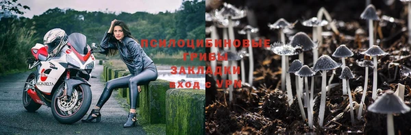 2c-b Нефтекумск