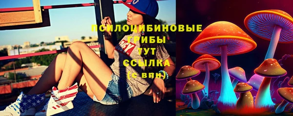 стафф Аркадак