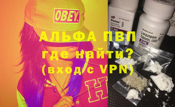 гашик Арсеньев